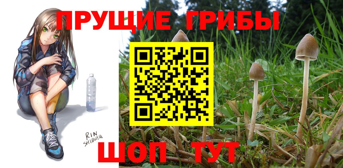 Псилоцибиновые грибы мицелий Симферополь